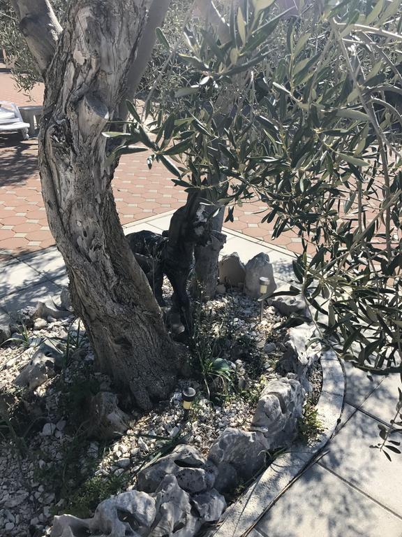 Casa Dolcevita Šibenik Eksteriør bilde